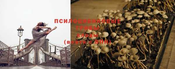винт Осташков