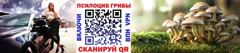Галлюциногенные грибы мухоморы  магазин продажи   Полярные Зори 
